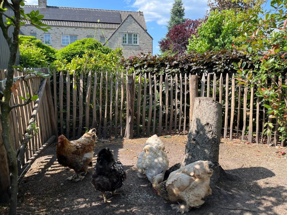Sfeervol Familielandhuis In De Groene Kempen Baarle-Hertog Exterior foto